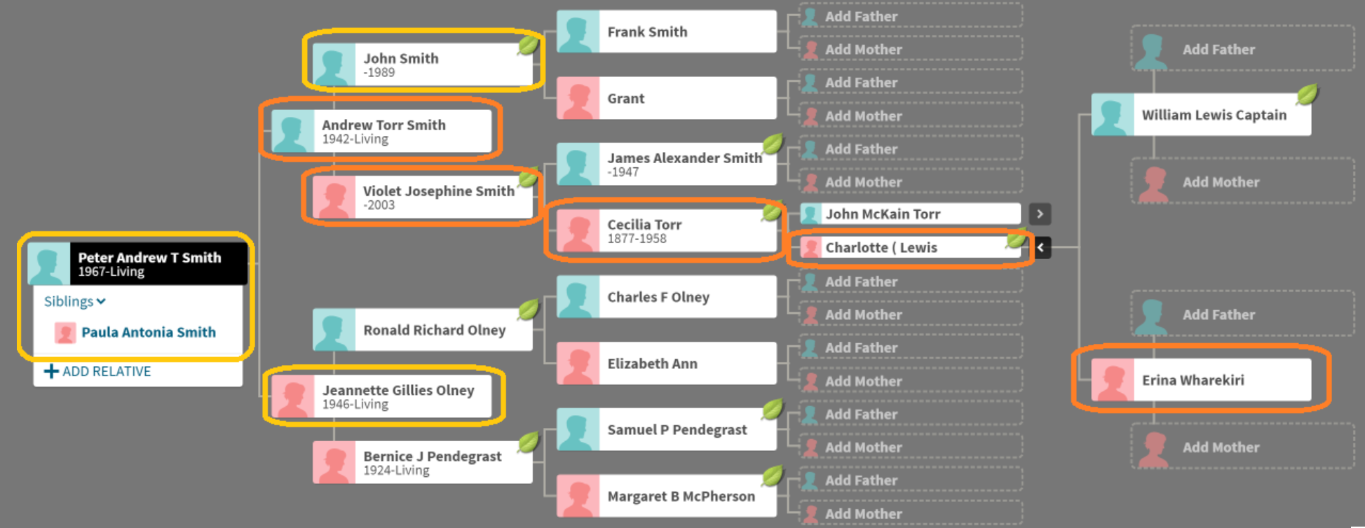 The Smith-Torr-Lewis-Wharekiri Family Tree